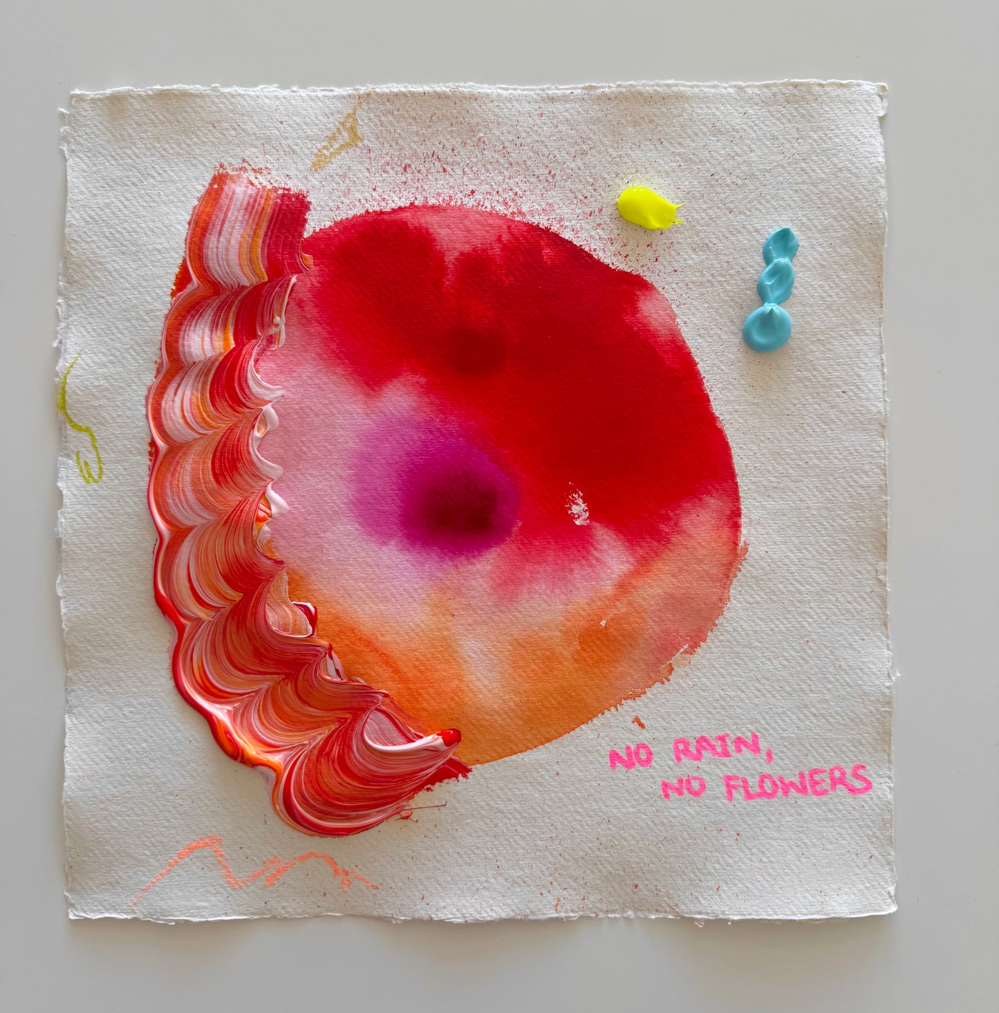 NO RAIN, NO FLOWERS Paperwork