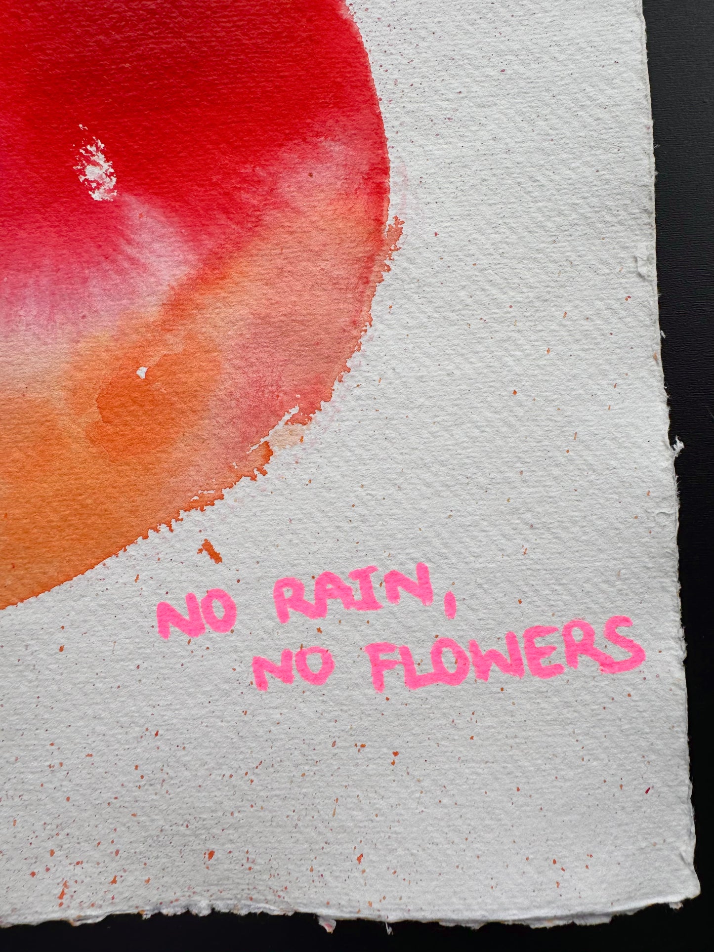 NO RAIN, NO FLOWERS Paperwork