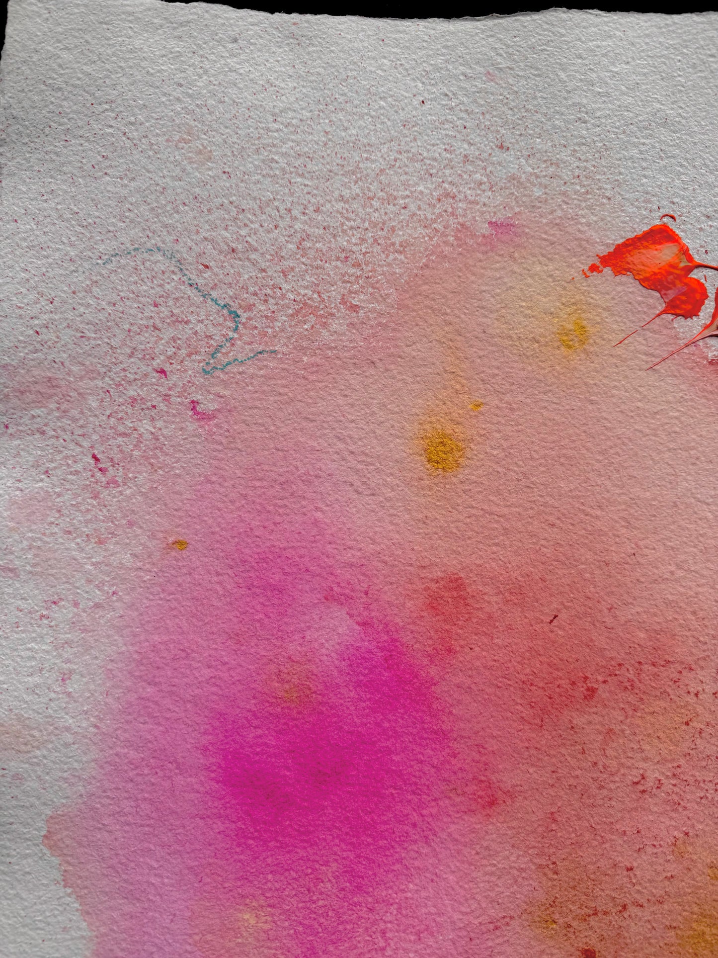 LISTEN TO THE BIRDS NOT THE NEWS Paperwork