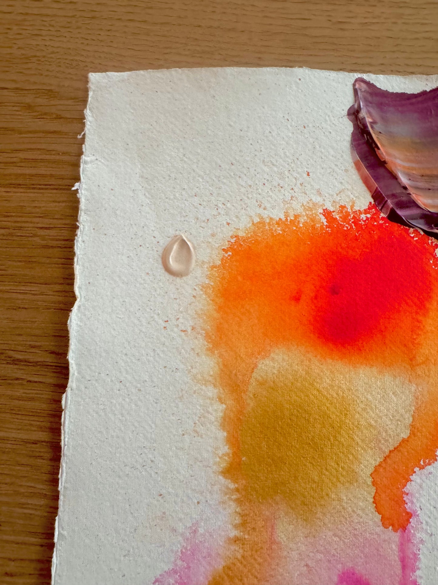 TO PLANT A GARDEN IS TO BELIEVE IN TMR Paperwork