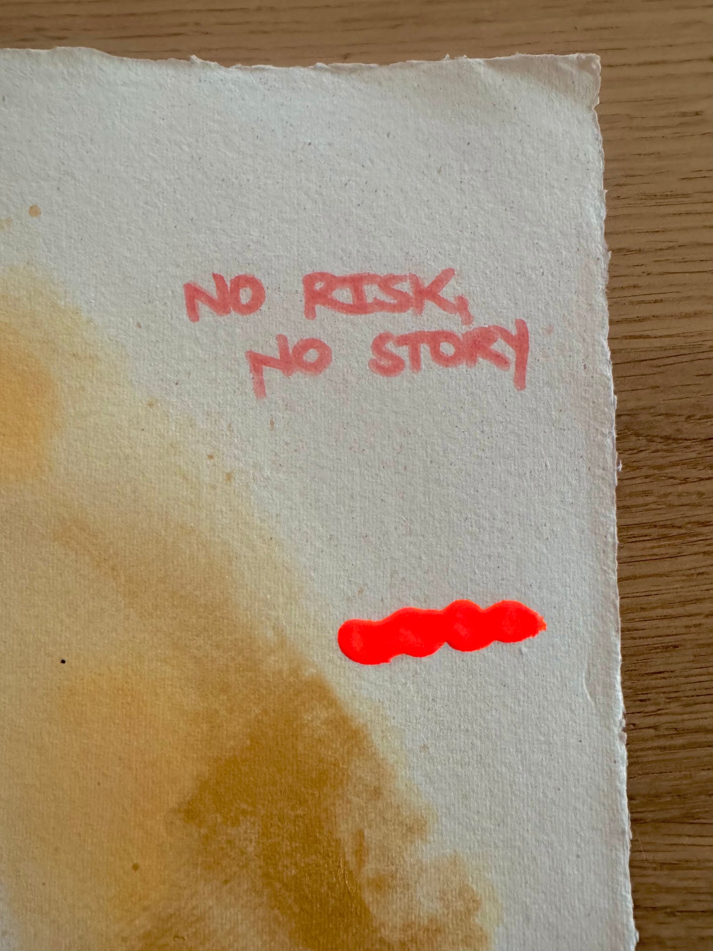 NO RISK NO STORY Paperwork