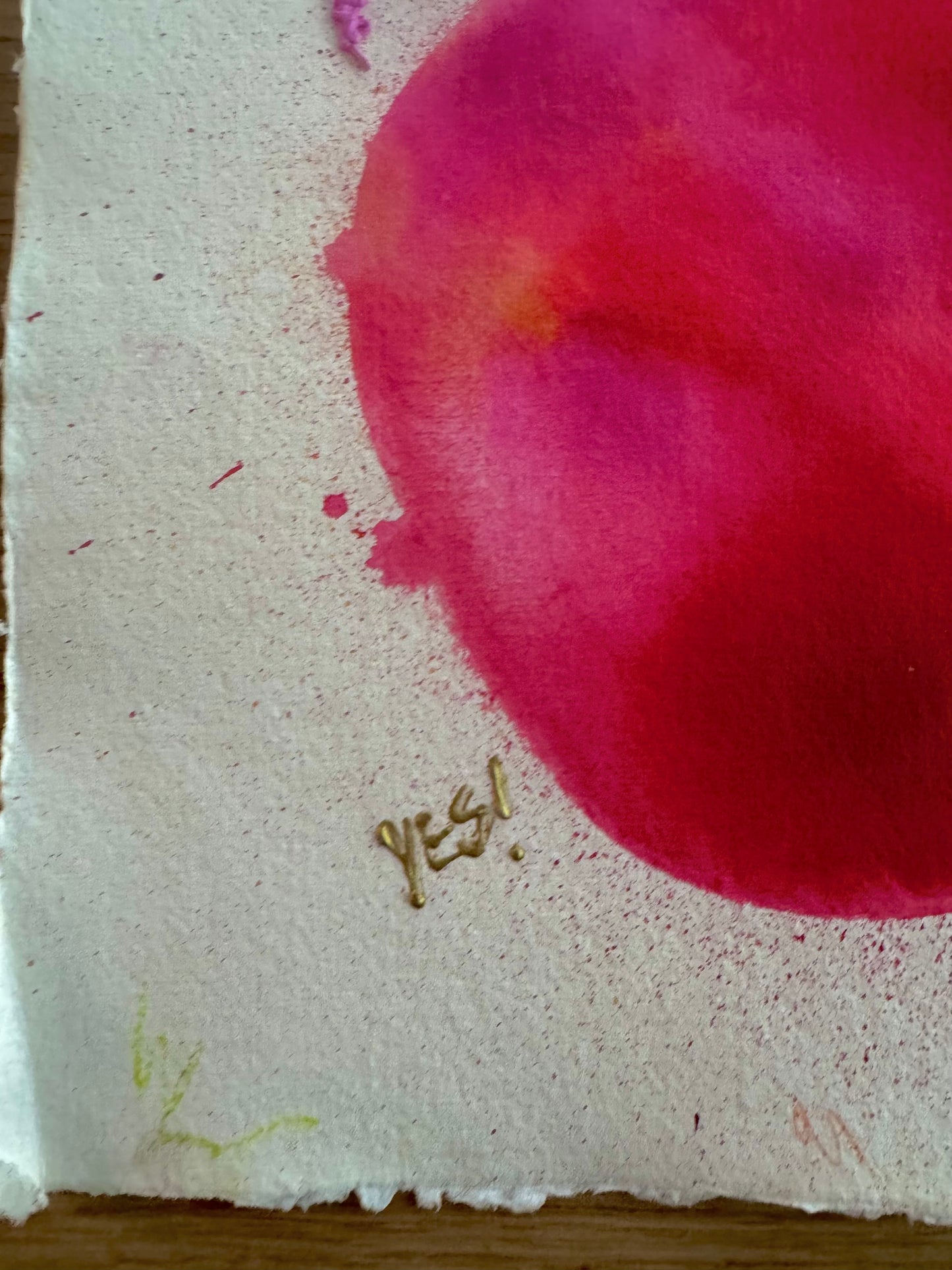 SOUL CONTACT Paperwork