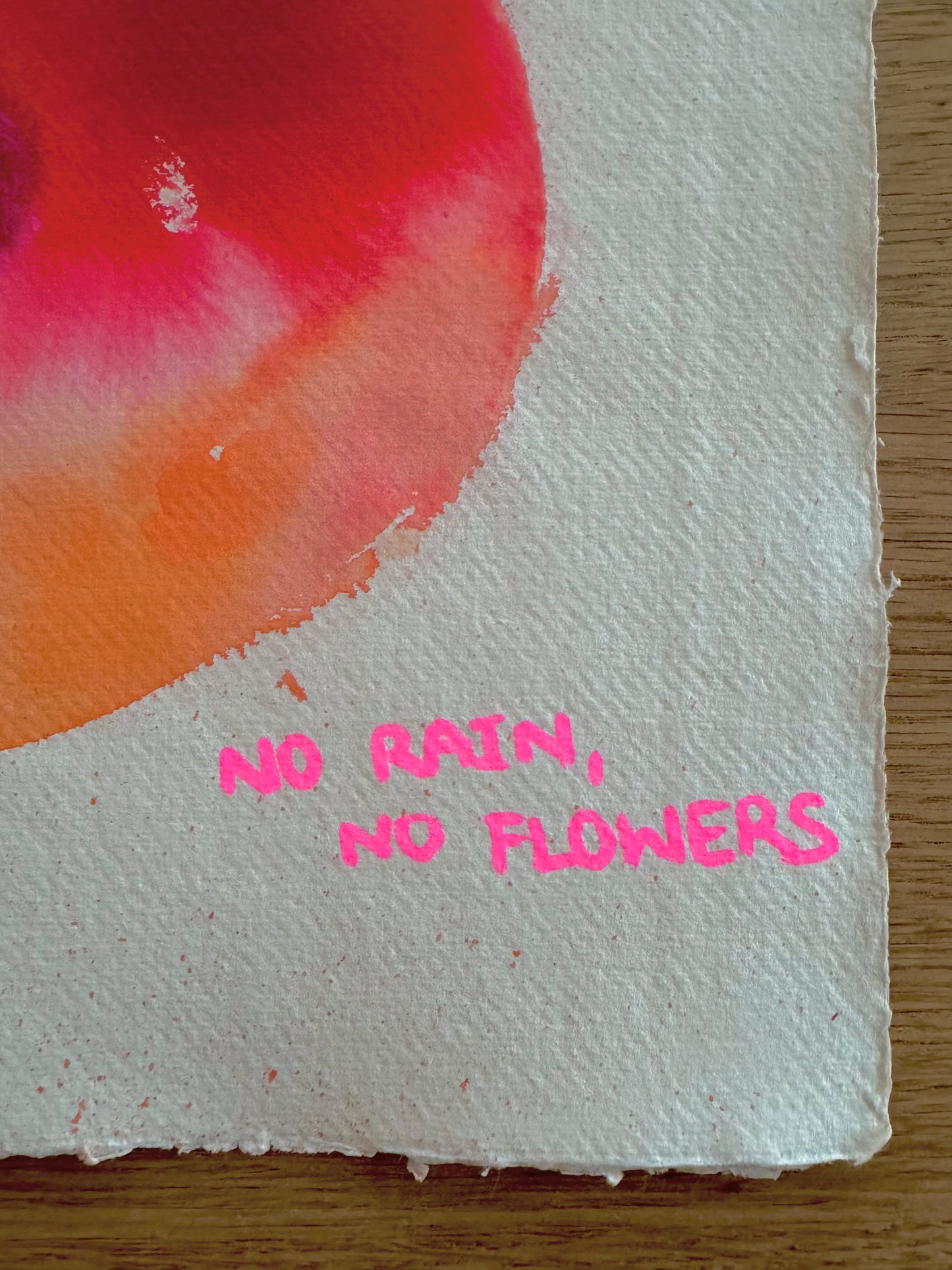 NO RAIN, NO FLOWERS Paperwork