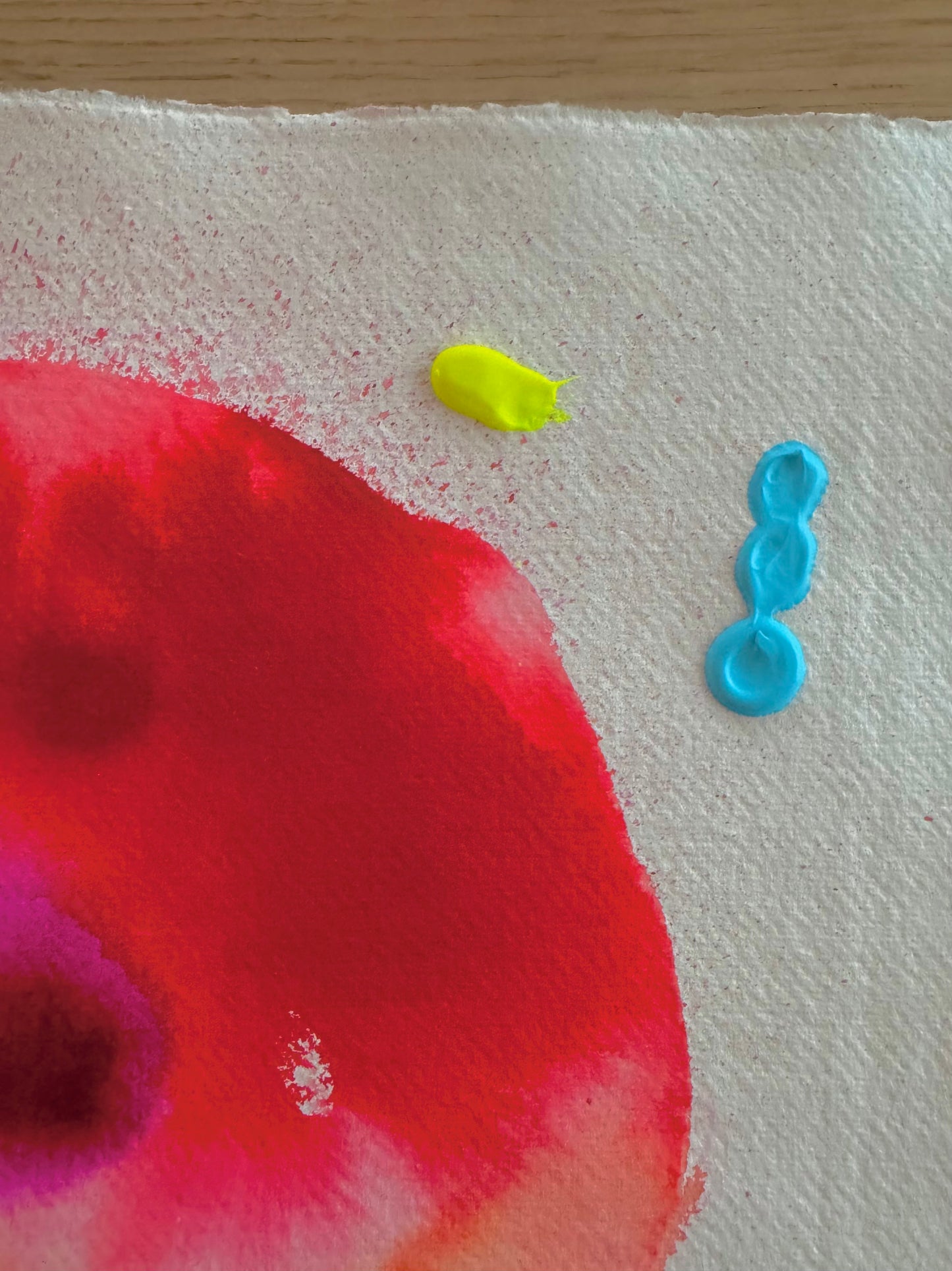 NO RAIN, NO FLOWERS Paperwork