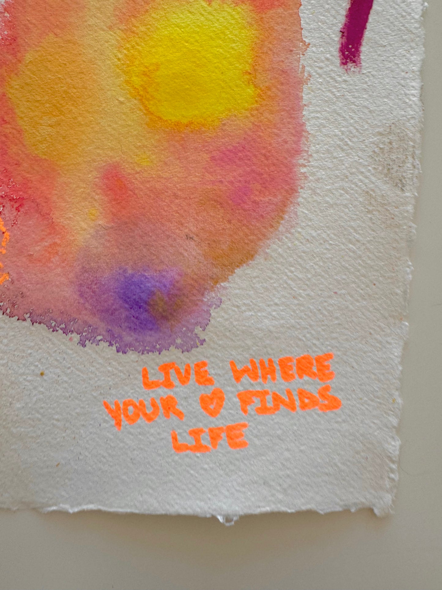 LIVE WHERE YOUR HEART FINDS LIFE Paperwork